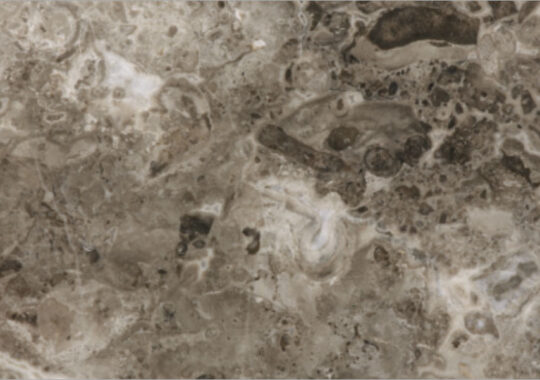 Savana-Grey-Marble